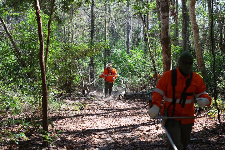 IHP e Onçafari unem esforços em 285 mil hectares para reduzir risco de queimadas no Pantanal