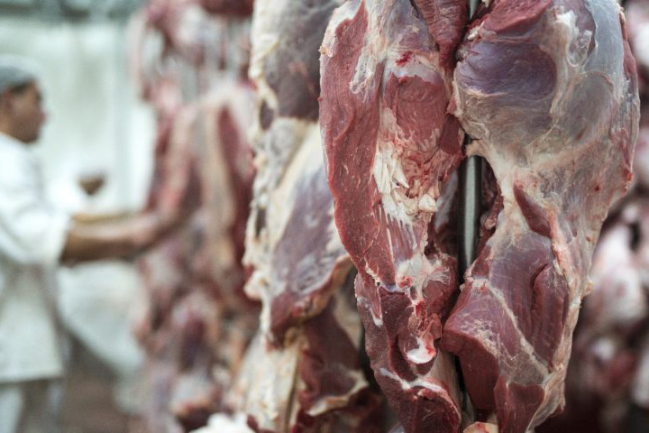 Exportações de MS somam US$ 7,24 bilhões até agosto e carne bovina cresce 43,7%