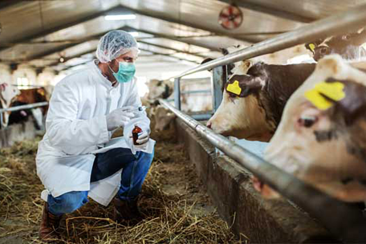 Residência Agropecuária oferece bolsas de até R$ 2.500 para recém-formados do agro