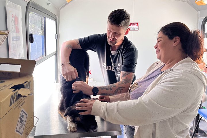 Campo Grande terá atendimentos veterinários gratuitos e feira de adoção em outubro