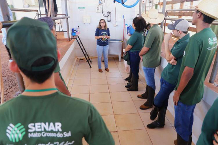 Senar/MS abre 500 vagas em cursos técnicos gratuitos para sete áreas do agro