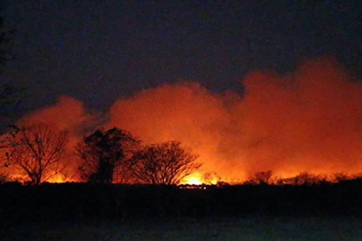Fogo atinge a Baía Negra e consome quase 2 mil hectares no Pantanal