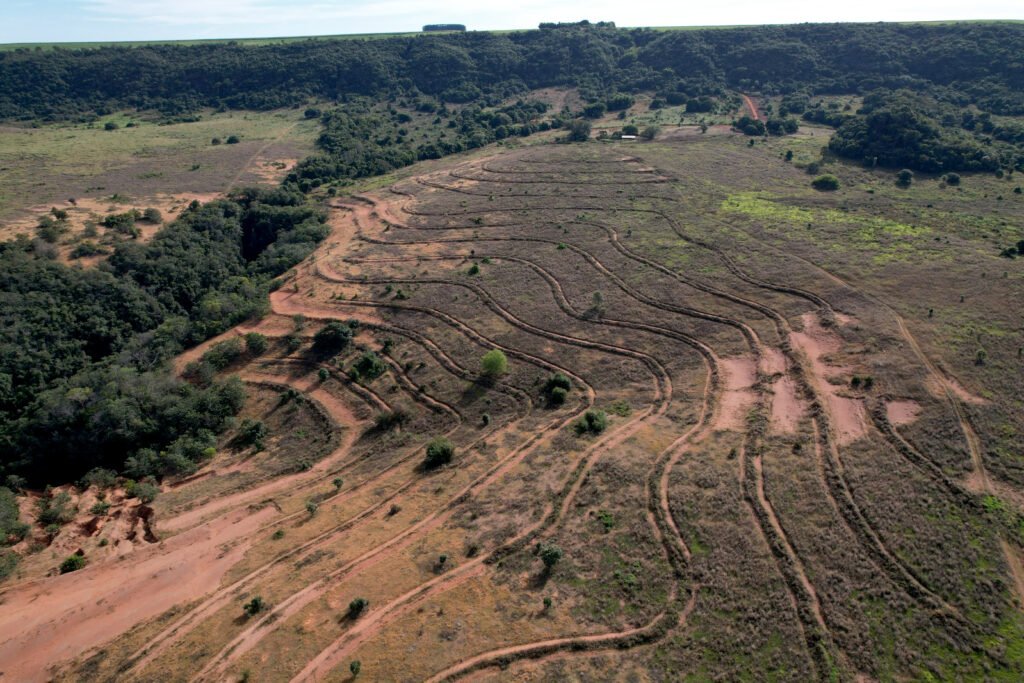 Mutirão inicia restauração de 40 hectares nas Nascentes do Rio Taquari com uso de sementes nativas