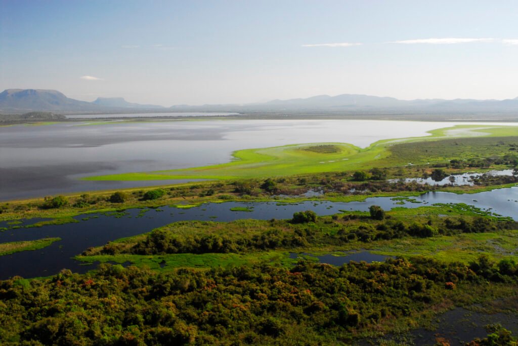 Contaminação no Pantanal leva MPF a processar 29 empresas do setor agroquímico