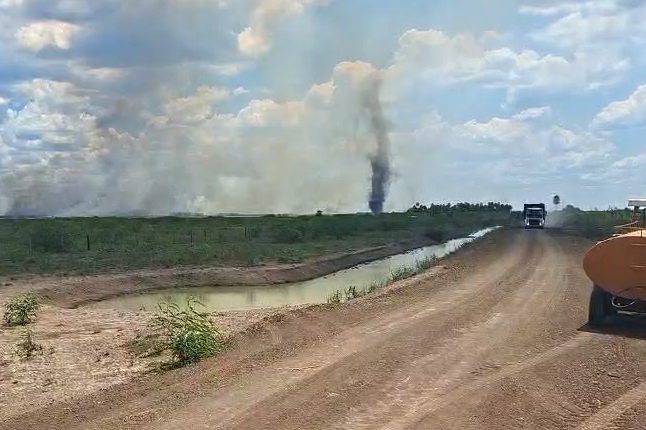 Com mais focos de incêndio, Pantanal começa 2026 em estado de alerta