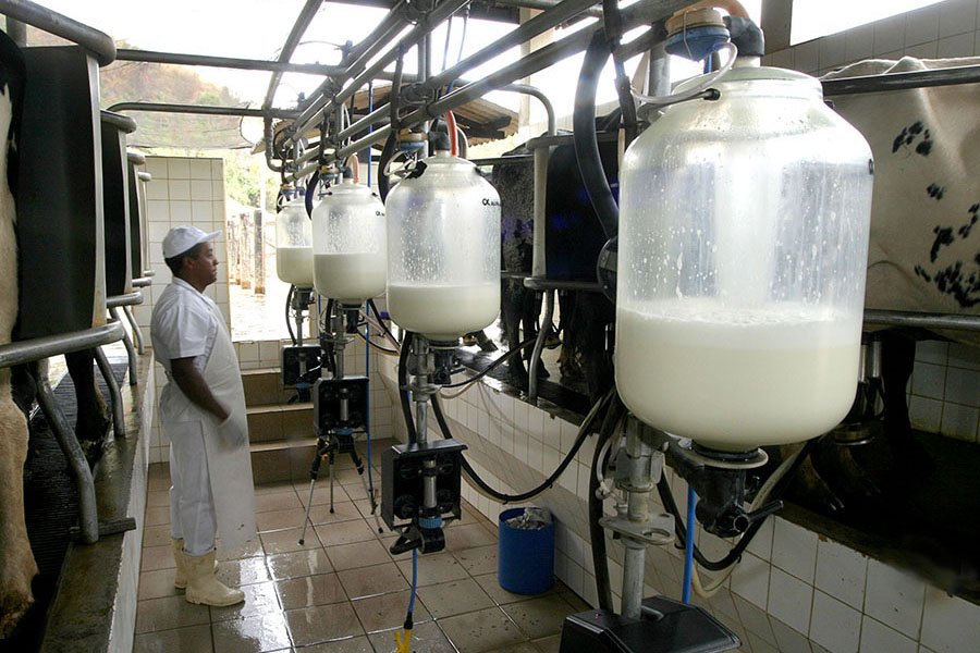 Após produção recorde e queda nos preços, setor do leite projeta 2026 sob cautela e ajustes no mercado