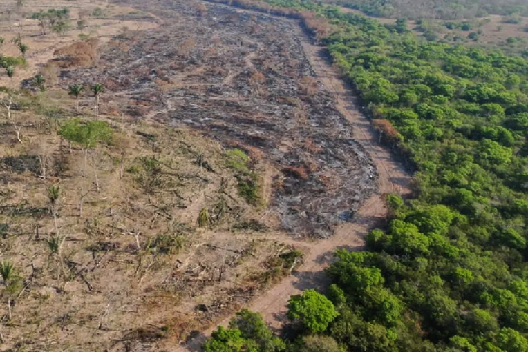 Pantanal registra aumento de 45,5% nos alertas de desmatamento em cinco meses, revela Inpe