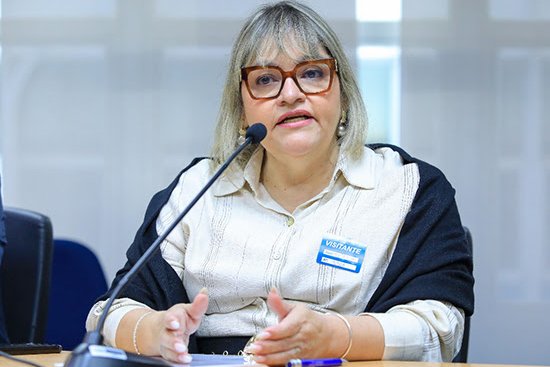 Presidente do Concen-MS destaca papel dos Conselhos em encontro com distribuidoras do grupo CPFL
