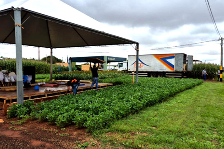 Chapadão do Sul abre nesta terça-feira (17) a TecnoAgro 2026, vitrine de tecnologia para o agronegócio