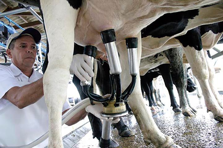 Projeto da ‘Escola do Leite’ quer transformar Campo Grande em centro de formação para o setor lácteo