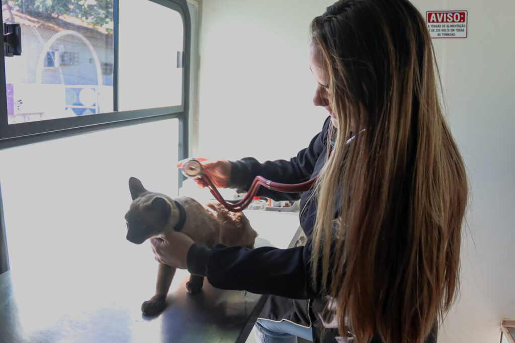 Entre 11 e 15 de maio, consultório veterinário móvel atende pets gratuitamente na Vila Sobrinho