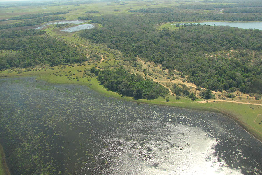 Pantanal registra cheia abaixo do esperado após anos de seca acumulada