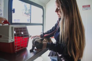 Consultório Móvel leva atendimento veterinário gratuito ao Jardim Noroeste nesta semana