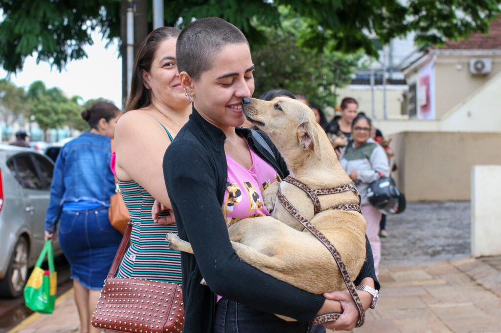 Feira na Praça da Bolívia terá mais de 50 cães e gatos à espera de um novo lar neste domingo