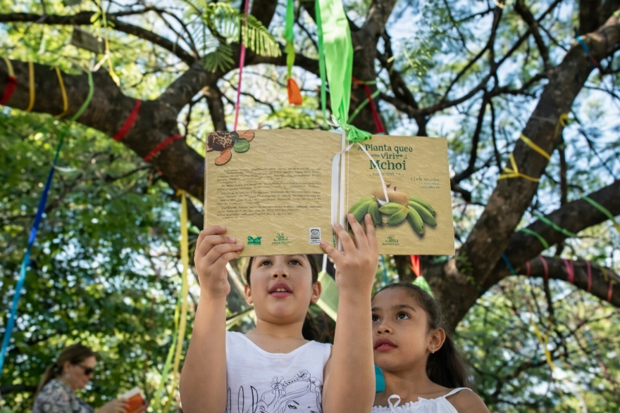 FLIB 2026 traz Jorge Vercillo, Sandra Sá e grandes nomes da literatura para seis dias de programação gratuita em Bonito